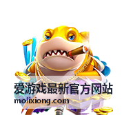 爱游戏最新官方网站会员等级与权益说明配图