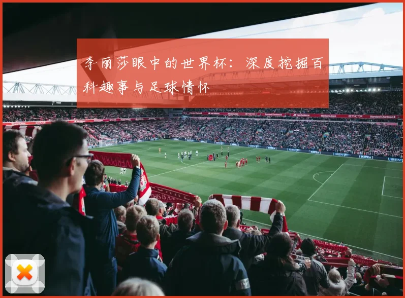李丽莎眼中的世界杯：深度挖掘百科趣事与足球情怀