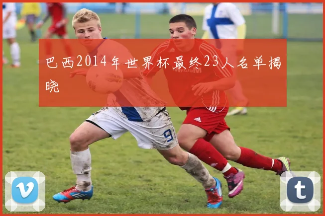 巴西2014年世界杯最终23人名单揭晓