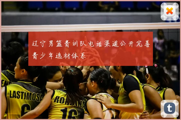 辽宁男篮青训队电话渠道公开完善青少年选材体系