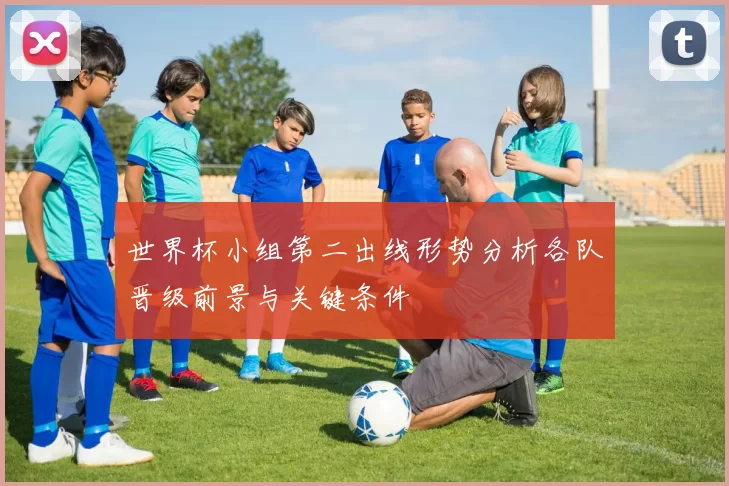 世界杯小组第二出线形势分析各队晋级前景与关键条件