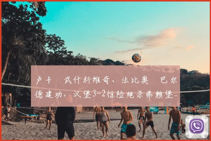 卢卡・武什科维奇、法比奥・巴尔德建功，汉堡3-2惊险绝杀弗赖堡_塔诺维奇_进球_法兰克福