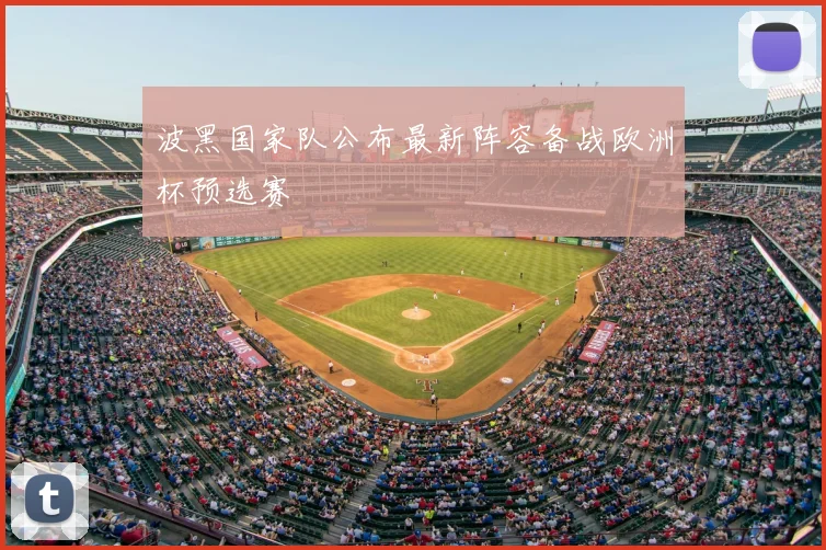 波黑国家队公布最新阵容备战欧洲杯预选赛