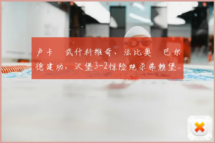 卢卡・武什科维奇、法比奥・巴尔德建功，汉堡3-2惊险绝杀弗赖堡_塔诺维奇_进球_法兰克福