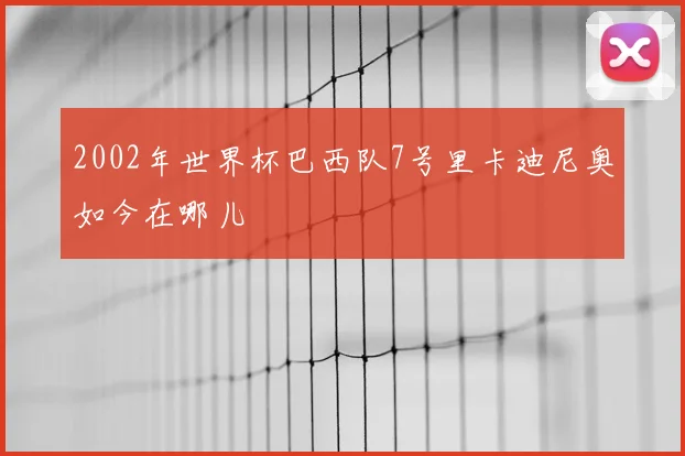 2002年世界杯巴西队7号里卡迪尼奥如今在哪儿