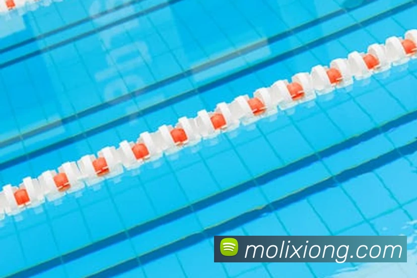 多媒体互动体验